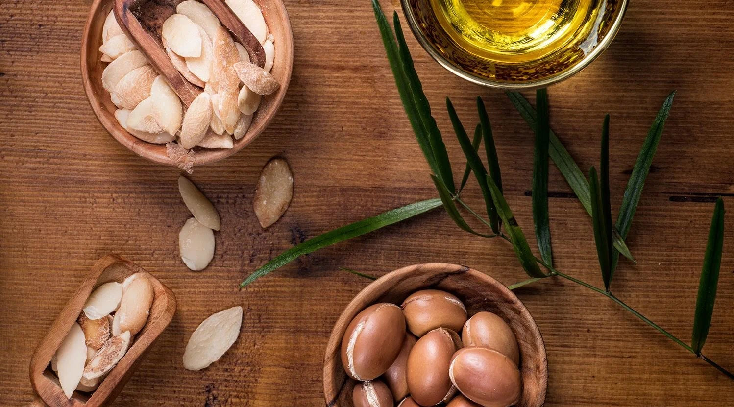 En savoir plus sur l'Huile d'argan