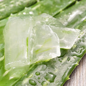 Gel Pur Aloe Vera Bio