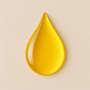 Huile de Jojoba Bio