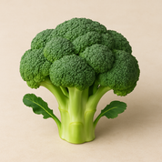 Huile de Brocoli Bio