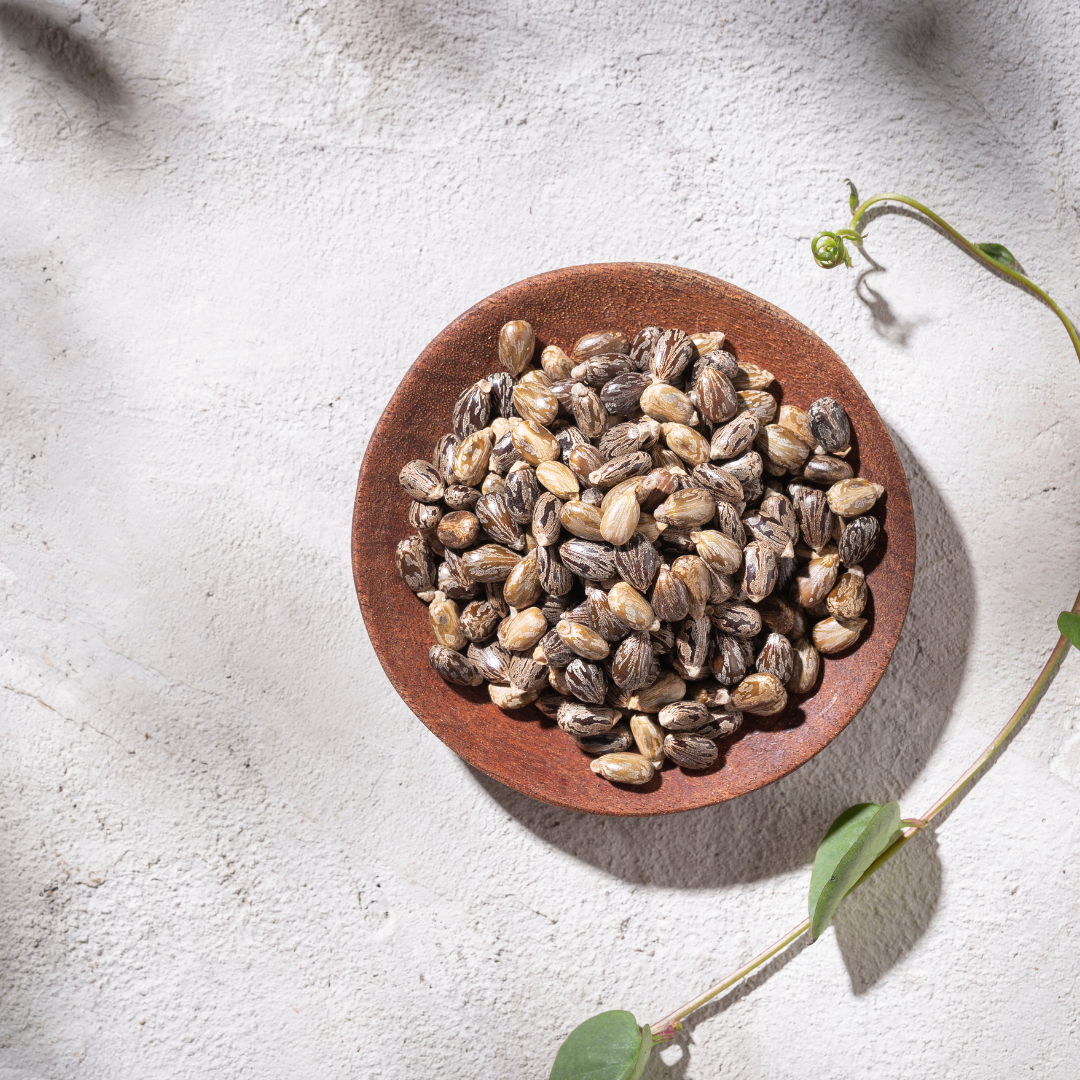 Huile de Ricin bio