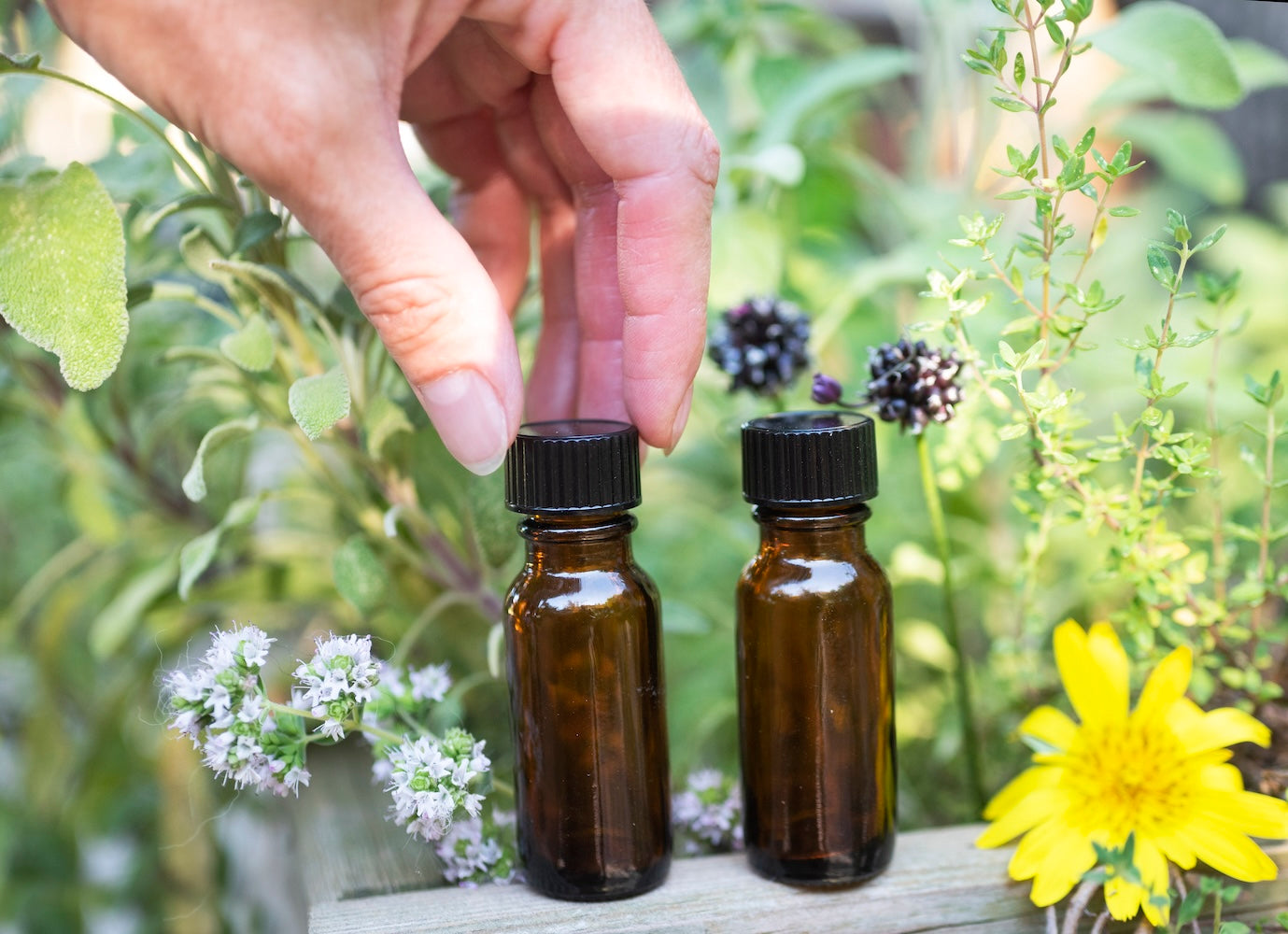 Natural skincare and organic ingredients