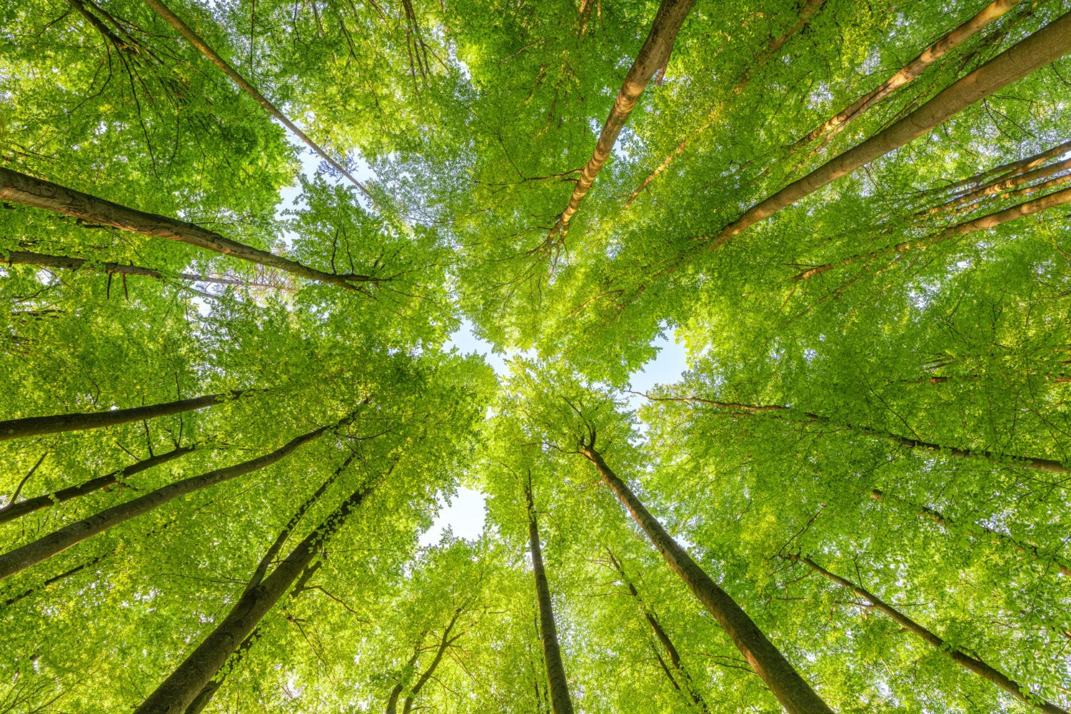 iStock-1659684092.jpg