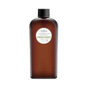 Gel Pur Aloe Vera Bio